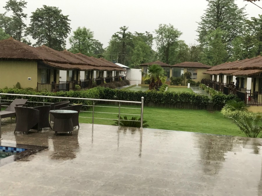 Rain in Tigers resort