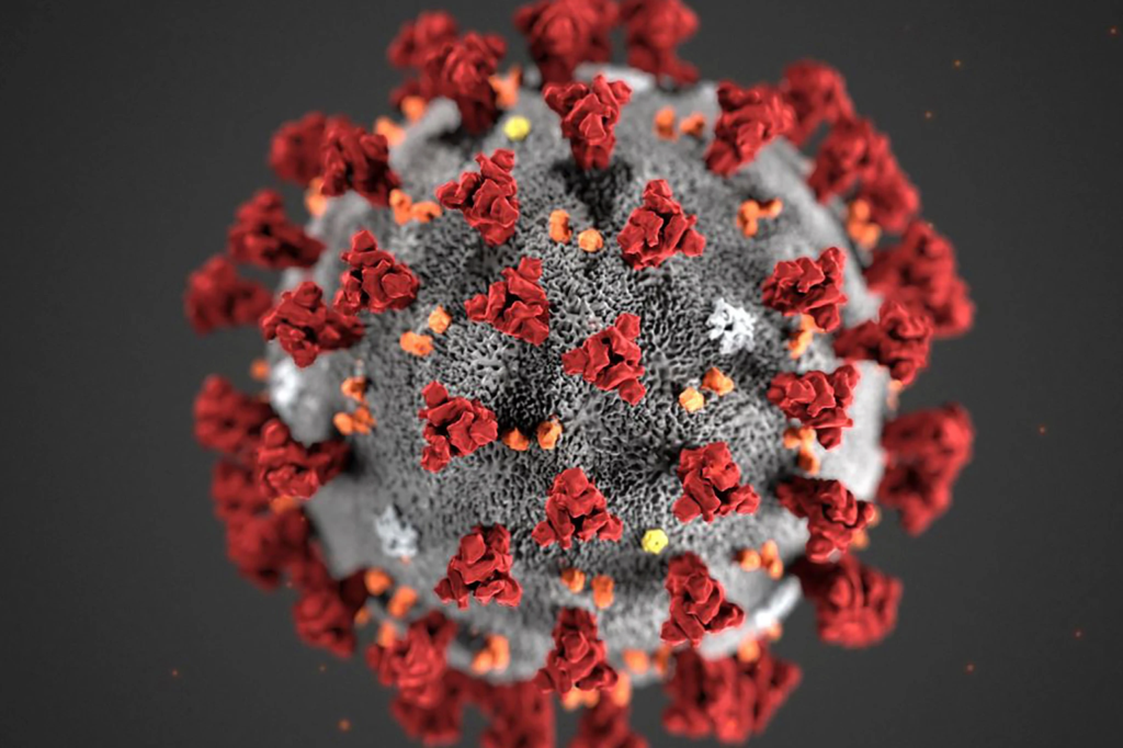 coronavirus