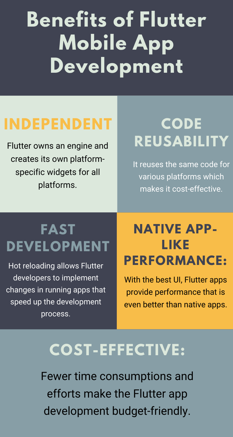 Flutter App Development