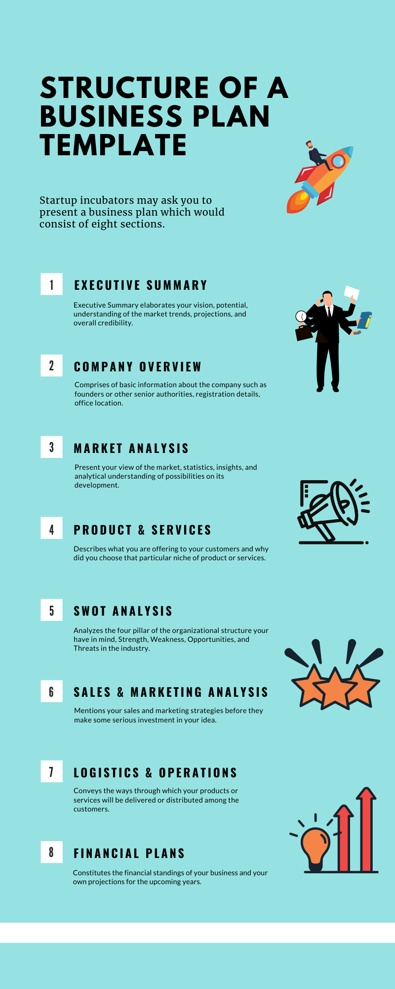 Structure of a Business Plan Template Infographic