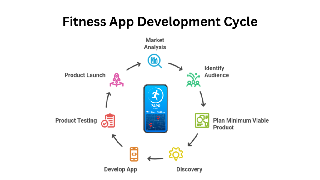 Circular infographic showing the fitness app development cycle, including stages