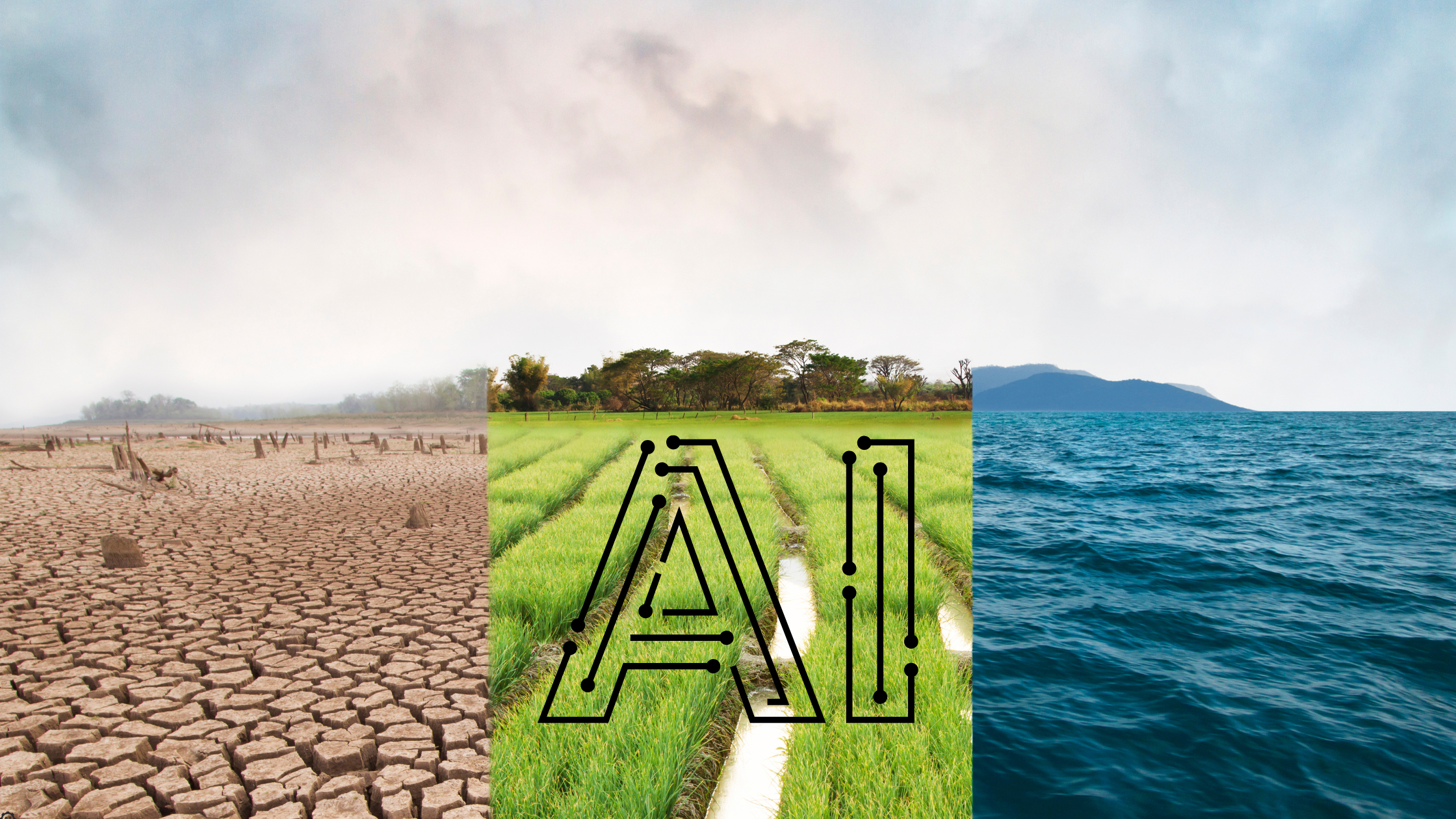 AI Solutions in climate change